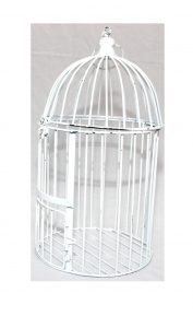 cage à oiseau location mariage finistère
